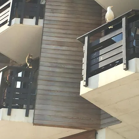 Appartement Mon Balcon Face A La - Les Marinas